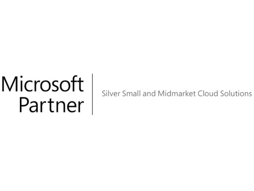 Microsoft Silberpartner